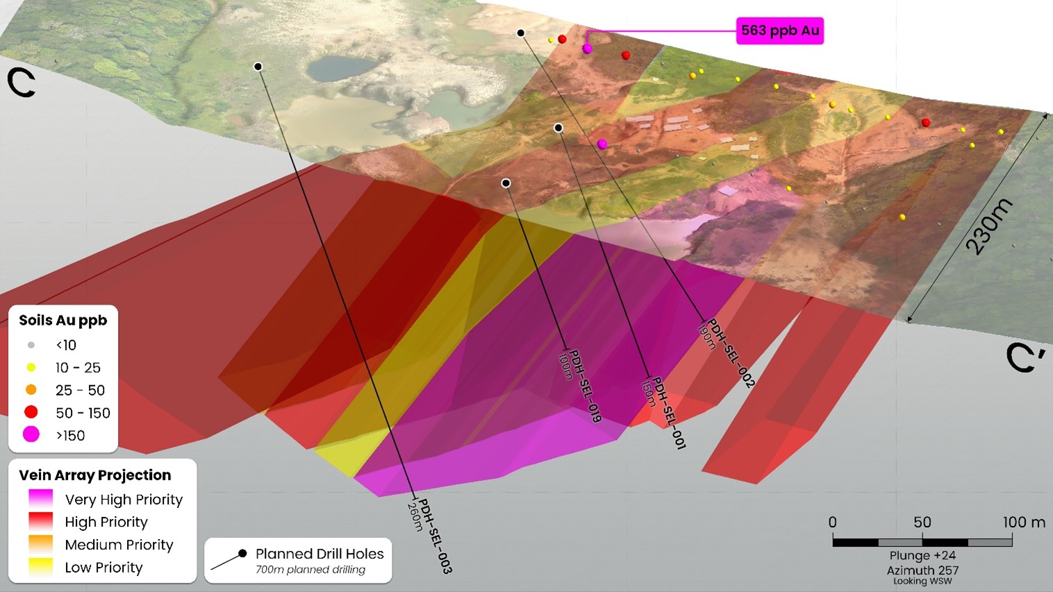 Section C as indicated on Figure 1, showing the inferred vein array projections coloured by priority. At Puma, ore shoots are anticipated to plunge in an easterly direction within the vein array projections.