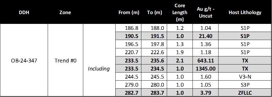 Detailed Assay Results from Drill Hole OB-24-347