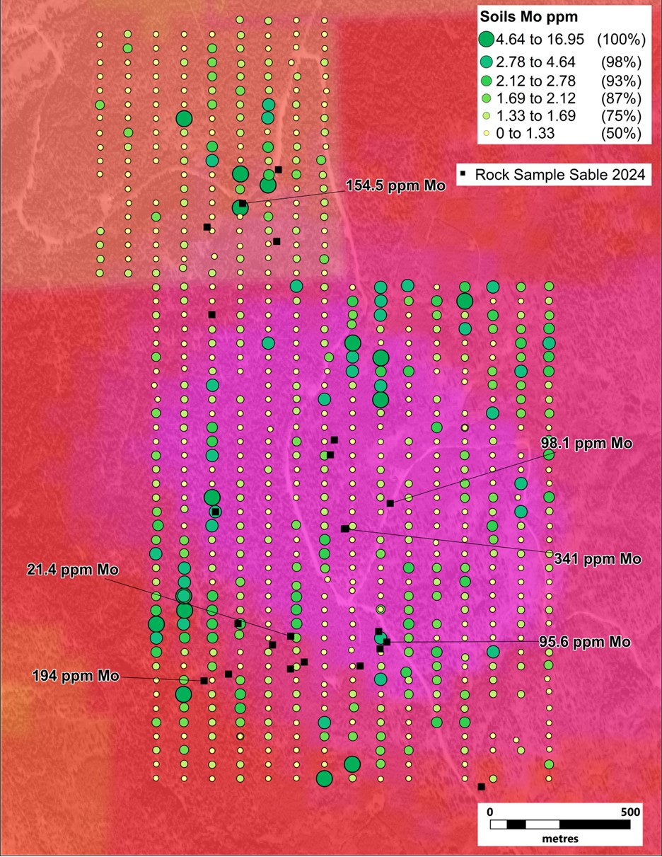 Distribution of Mo values from soil sampling at Copper Prince. Note the highlighted Mo values in rock samples and RTP magnetics in the background.